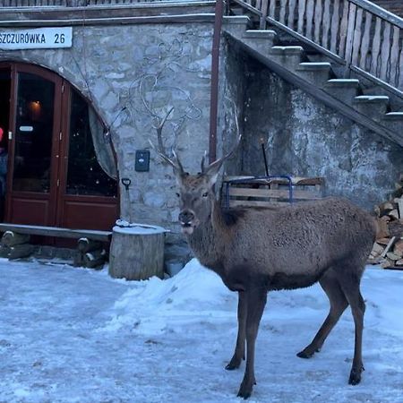 Ferienwohnung Schody Do Nieba Zakopane Exterior foto