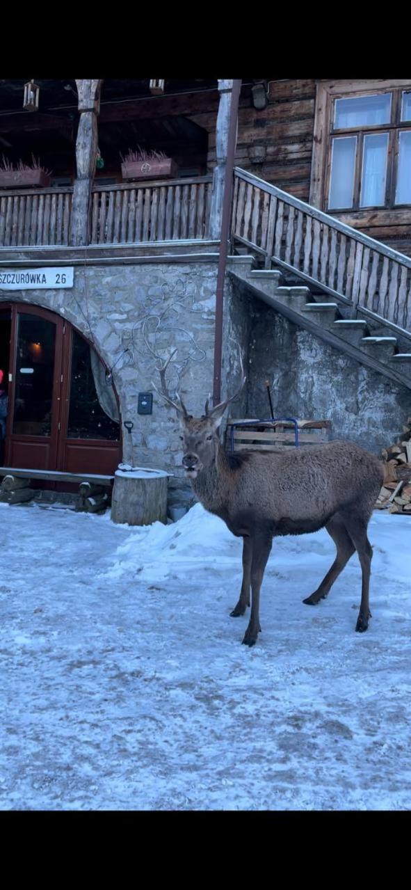 Ferienwohnung Schody Do Nieba Zakopane Exterior foto